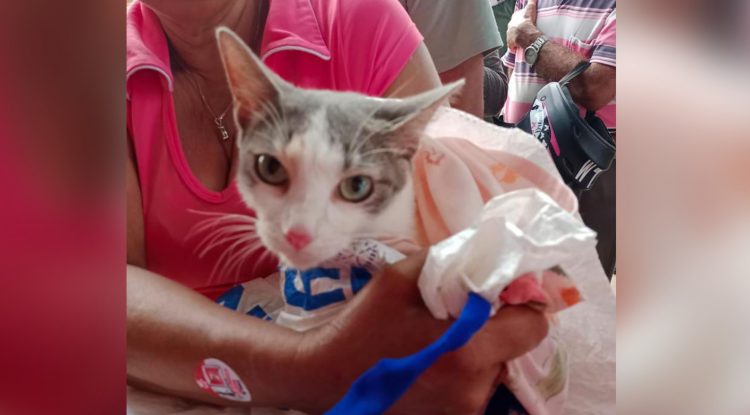 Inicia campaña en contra del maltrato animal en San José del Guaviare