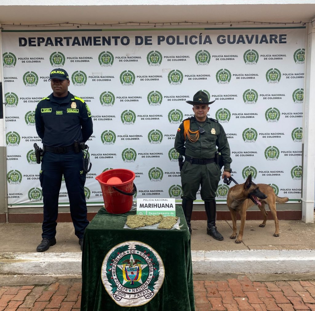 Policía entrega balance de la última semana en Guaviare