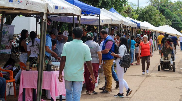 Alcaldía de San José del Guaviare prepara primer mercado campesino 2024