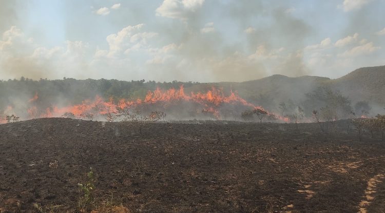 Alerta máxima por incendios forestales en el Meta