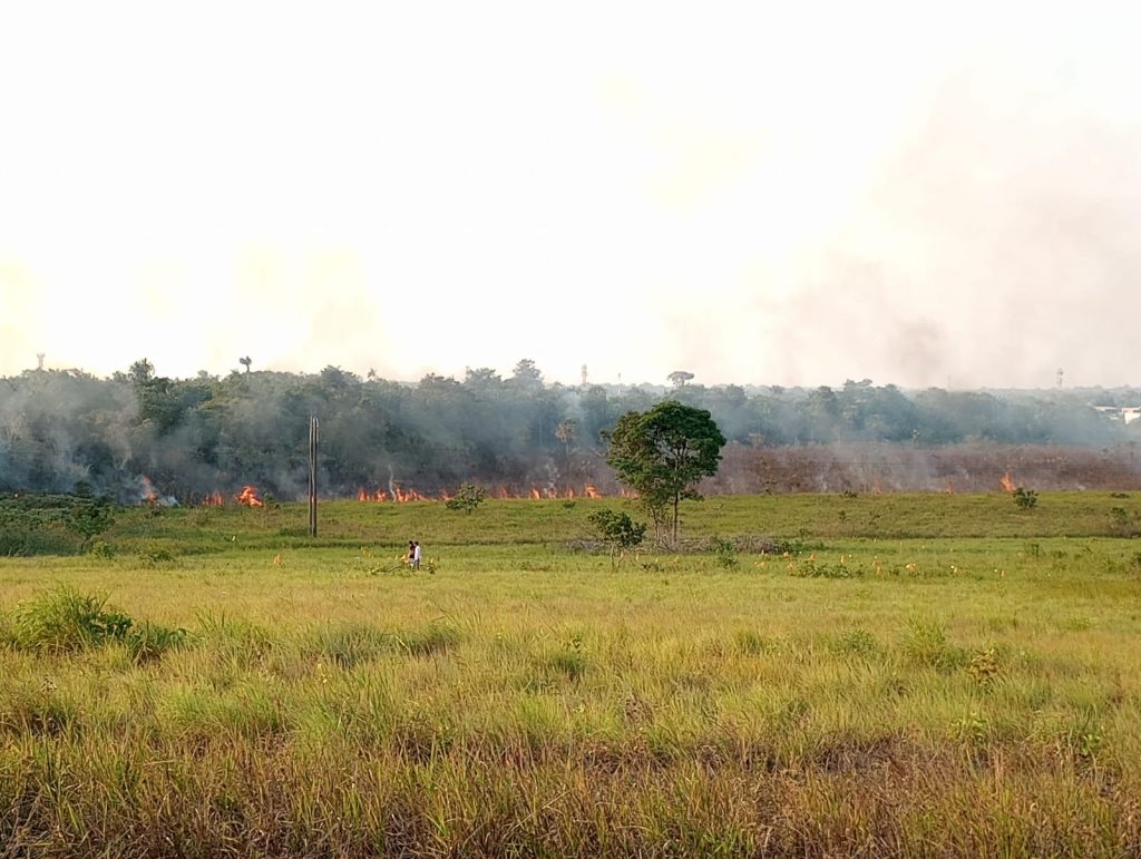 12 incendios forestales en San José del Guaviare