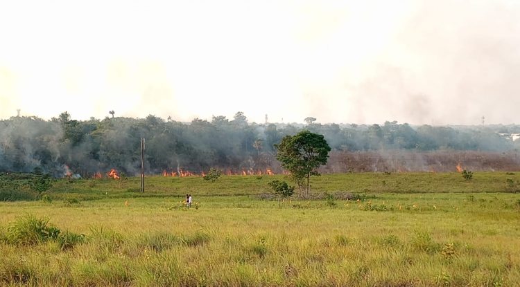 12 incendios forestales en San José del Guaviare