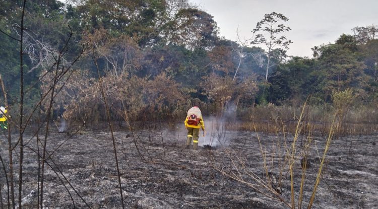 25 incendios forestales se han registrado en San José del Guaviare