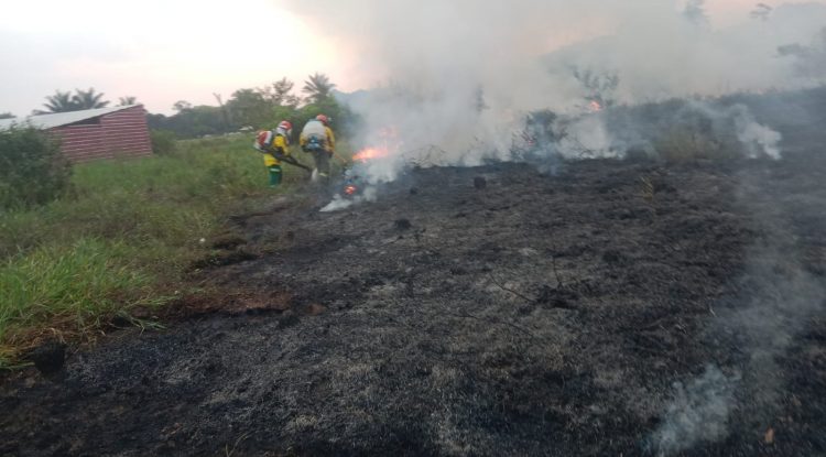 Bomberos siguen atendiendo incendios forestales en San José del Guaviare