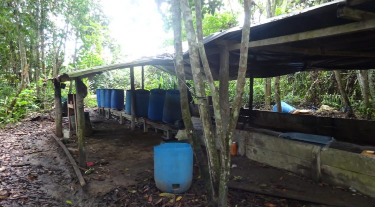 Destruyen dos laboratorios para producir cocaína en el Guaviare