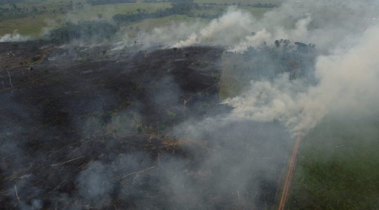 El método para liquidar incendios forestales en Calamar, Guaviare