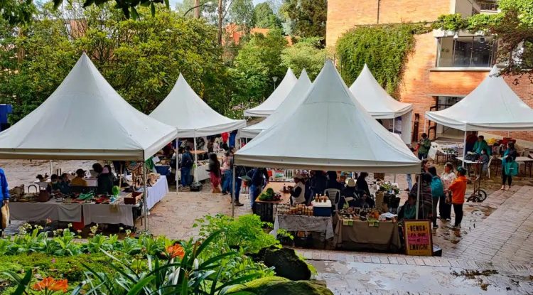 Productores del Guaviare viajan a mercado campesino en Bogotá