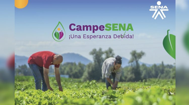 Abierta convocatoria para certificación al programa CampoSENA