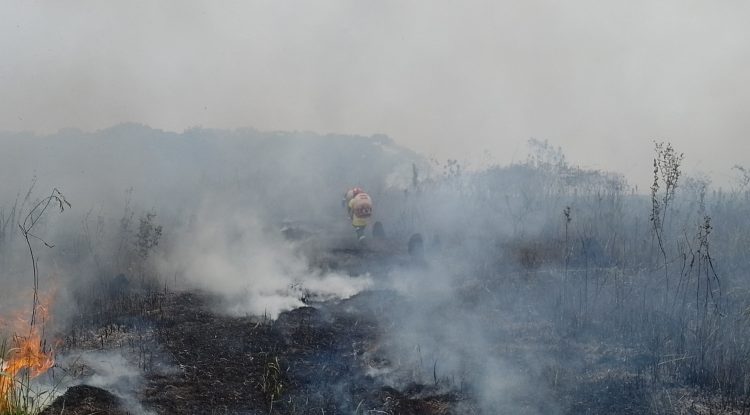 Bomberos Voluntarios atendieron un incendio forestal en los Altos de San Jorge