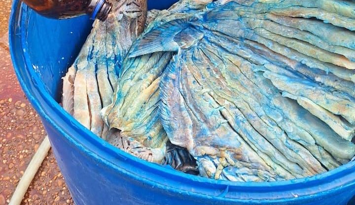 Autoridades incautaron pescado seco no apto para el consumo