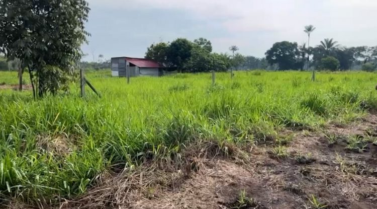 Estafadores vendieron tres lotes ajenos en San José del Guaviare