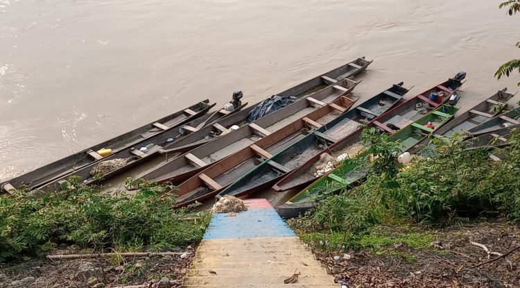 Controles en el Río Guaviare para hacer cumplir la veda