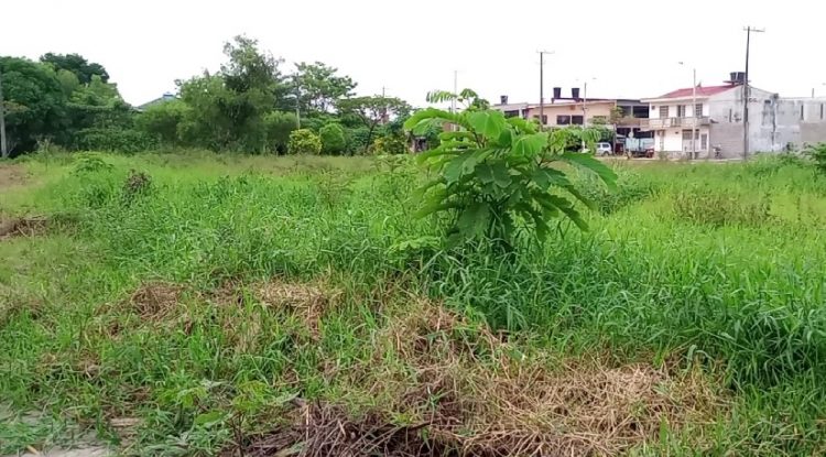 Lote del municipio genera inseguridad a dos barrios de San José del Guaviare