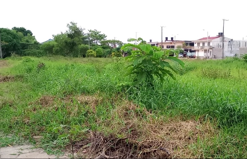 Lote del municipio genera inseguridad a dos barrios de San José del Guaviare