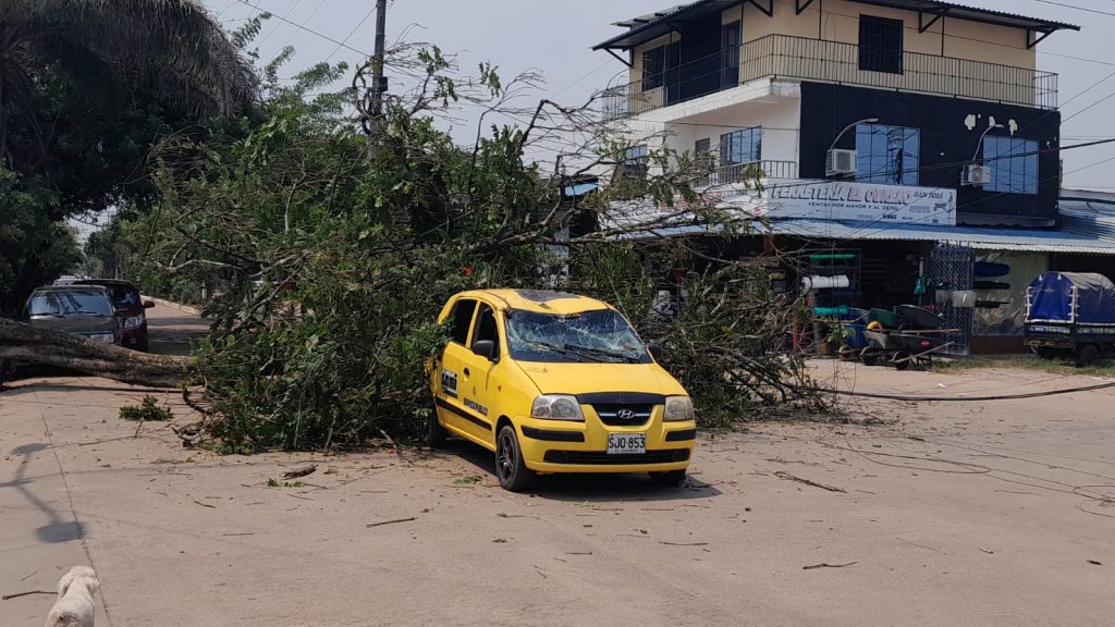 Árbol cayó encima de un taxi en San José del Guaviare