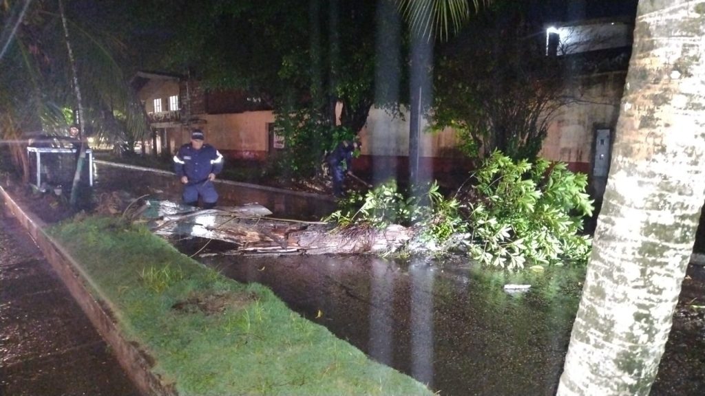 Árbol cayó en la calle de los bomberos en San José del Guaviare