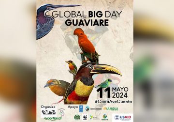 El Grupo de Observadores de Aves del Guaviare (GOAG) se está preparando para participar en el GLOBAL BIG DAY 2024