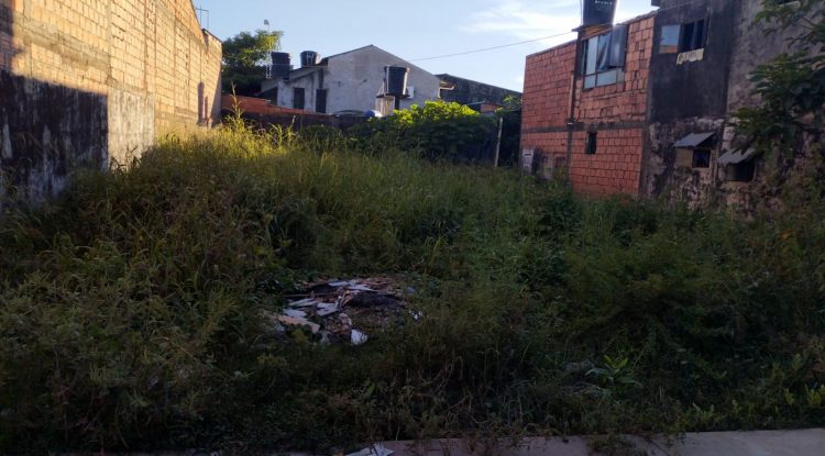 Lotes sin limpiar generan inseguridad en el barrio Bello Horizonte