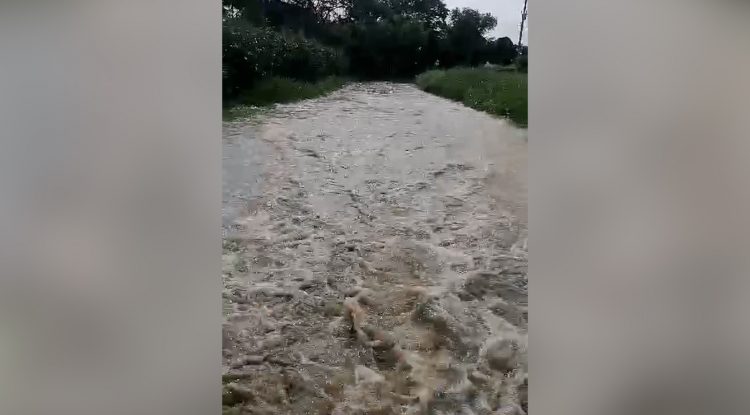 Estudiantes continuarán clases desde casa por creciente del Río Guaviare