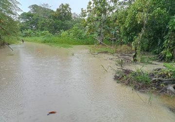 Puerto Concordia continúa en Alerta Roja por creciente del río Ariari