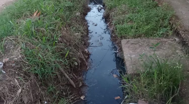 Aguas negras afectan la calidad de vida de habitantes en El Triunfo