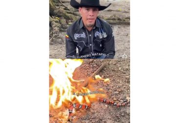 Cormacarena denunciará penalmente a influencer que prendió candela a una serpiente