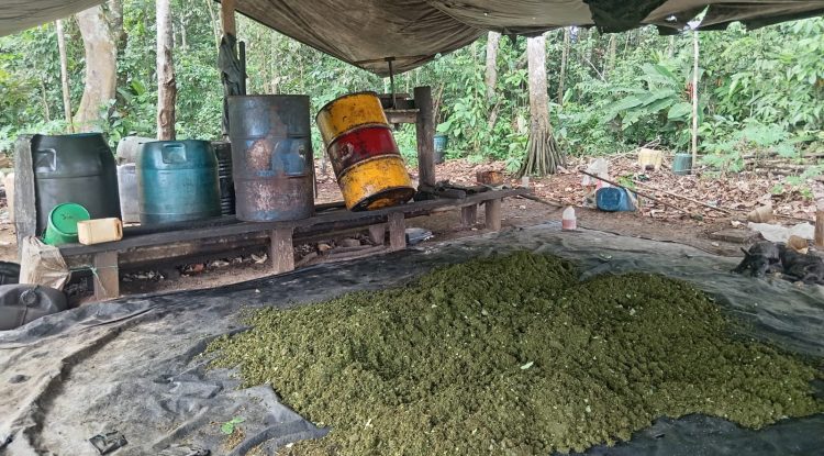 Ubican y Destruyen Laboratorio de Coca en Calamar, Guaviare