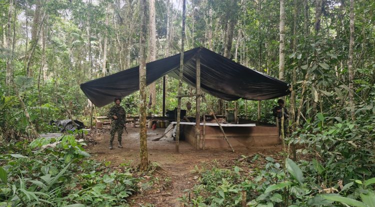 Guaviare: Destruyen estructura para el procesamiento de pasta base de coca