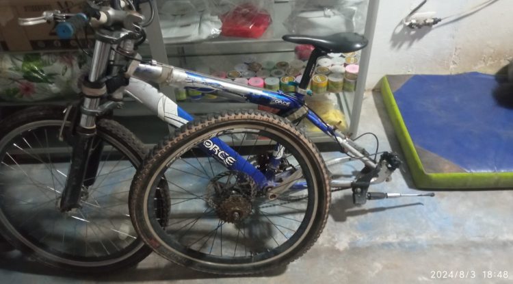 Motociclista arrolló a una mujer en bicicleta y huyó del lugar