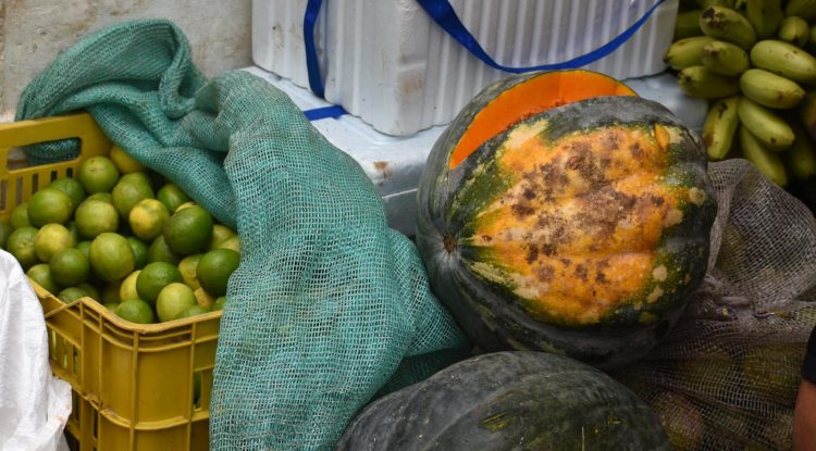 Positivo balance en el mercado campesino en San José del Guaviare