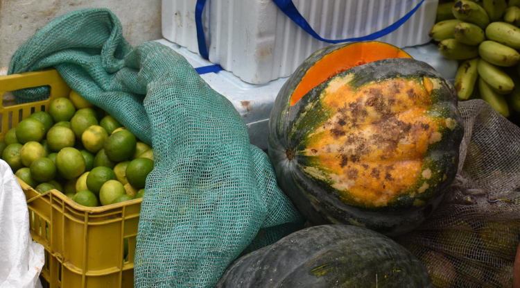 MERCADO CAMPESINO