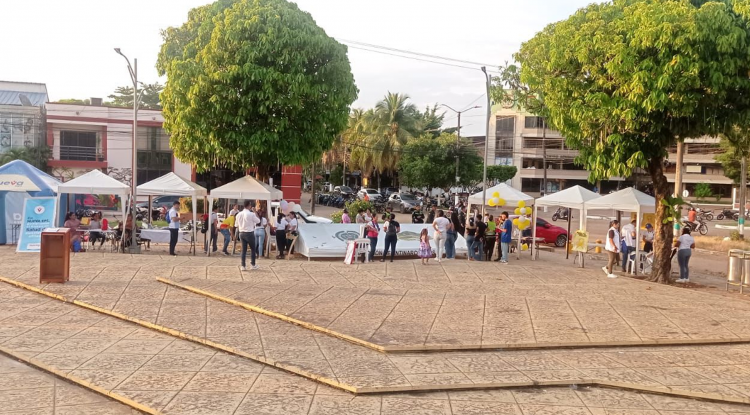 SUICIDIOS SECRETARIA DE SALUD