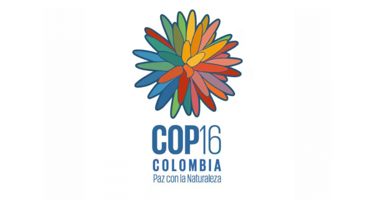 COP 16 CONSULTA
