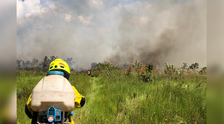 INCENDIO FORESTAL BARRANCON