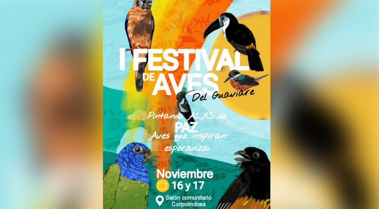 FESTIVAL DE AVES