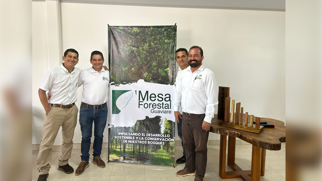 MESA FORESTAL GUAVIARE