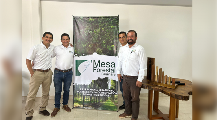 MESA FORESTAL GUAVIARE
