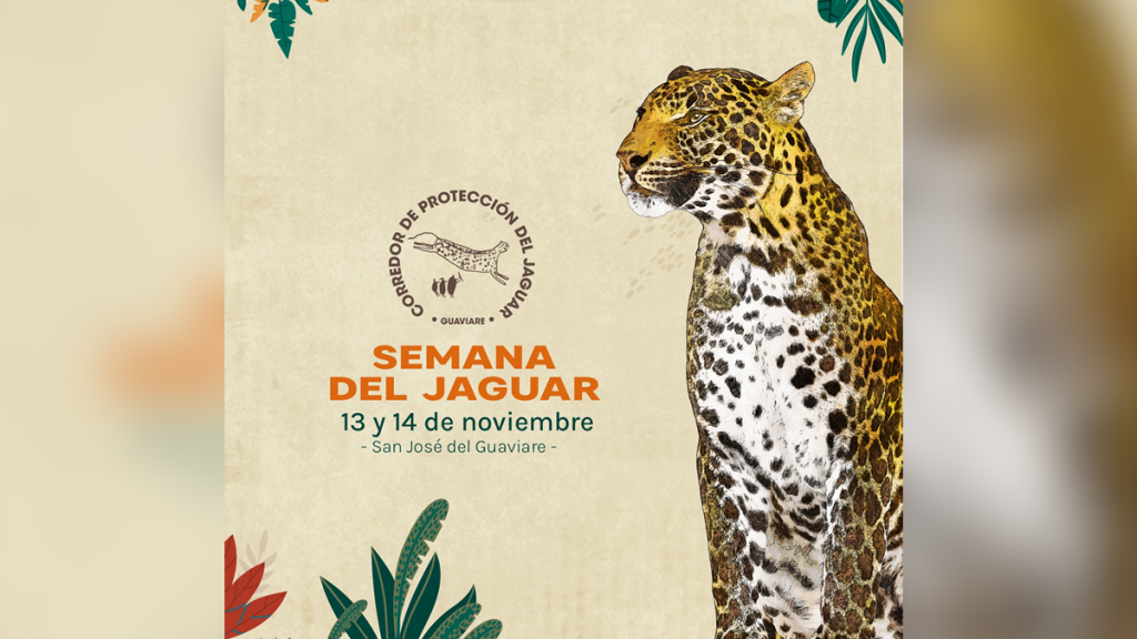 SEMANA DEL JAGUAR