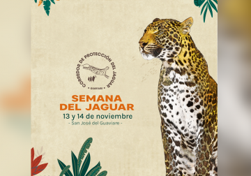 SEMANA DEL JAGUAR