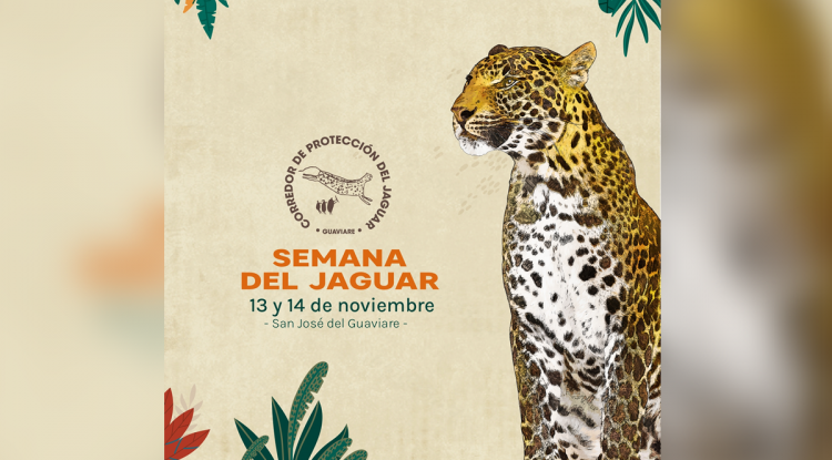 SEMANA DEL JAGUAR