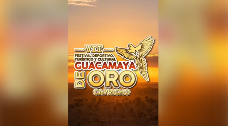VII GUACAMAYA DE ORO