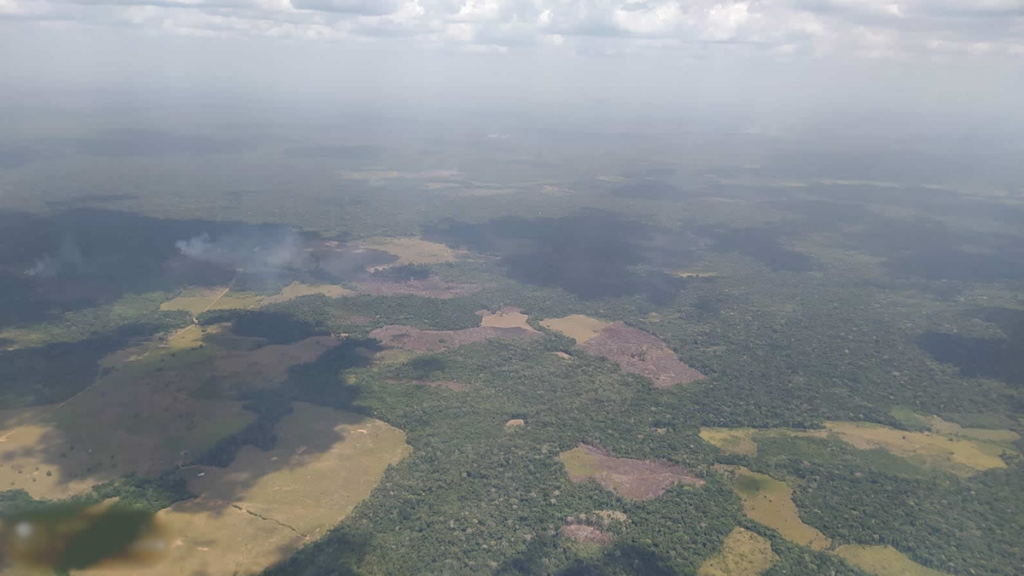 DEFORESTACION EN GUAVIARE