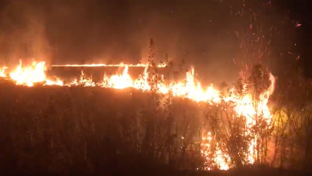 INCENDIO EN LA SABANA