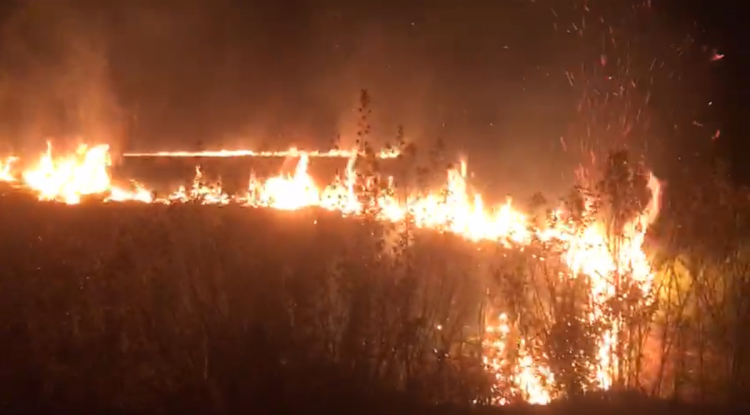 INCENDIO EN LA SABANA