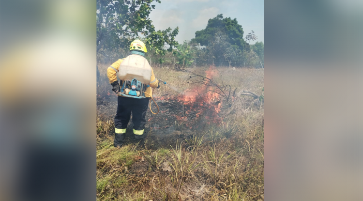 INCENDIOS FORESTALES