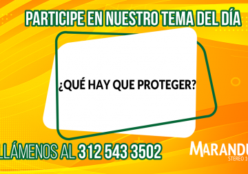 ¿QUÉ HAY QUE PROTEGER?