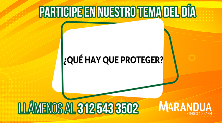 ¿QUÉ HAY QUE PROTEGER?