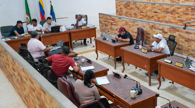 CONCEJO MUNICIPAL DE EL RETORNO