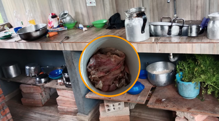 DENUNCIA PAE MENAJE