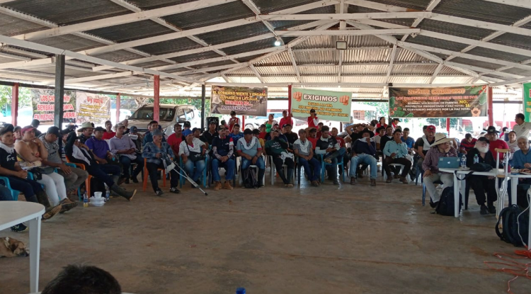 DIALOGOS CAMPESINOS